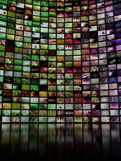 multimedia wall web resized